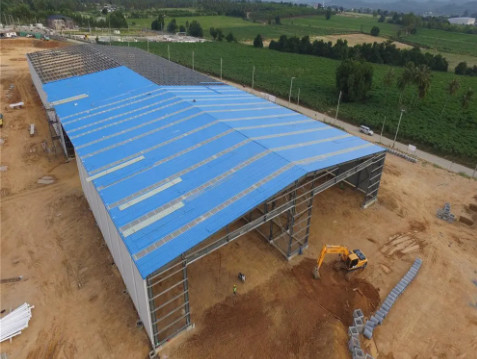 100% Recycled Innovative Steel Structures Cattle Cow Steel Framed Farm Buildings