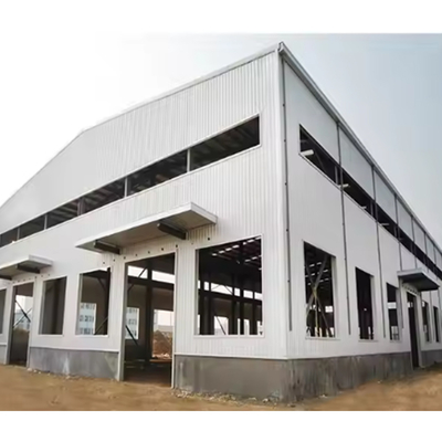 Custom Size Plant Steel Structure Warehouse Metal Warehouse Building