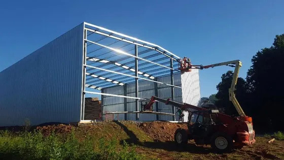 Light Steel Structure Factory Warehouse For Feed Mill Storage Eqrthequake Resistance ODM