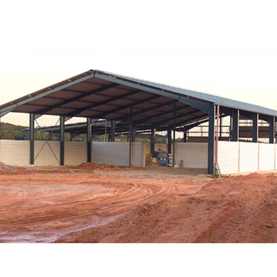 Fast Construction Light Steel Warehouse Buildings Q235B Q355B Metal Buildings Workshop