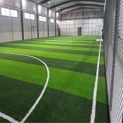 Q355  H Section Commercial Steel Building Prefabricated Sports Building Galvanised