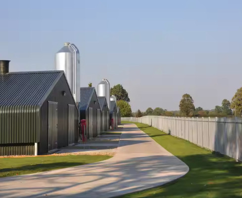 Prefab Metal Structure Chicken Poultry Farm Prefab House Fireproof Customer Design