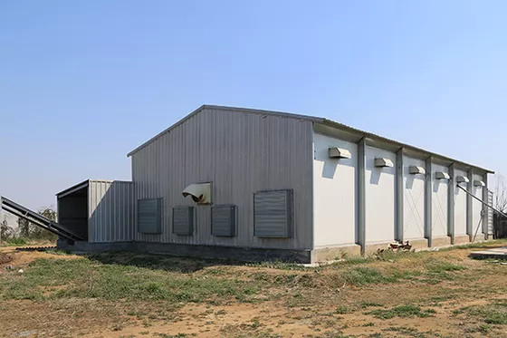 Pre Engineered Steel Structure Poultry House Q355B Sqaure Tube And H Section