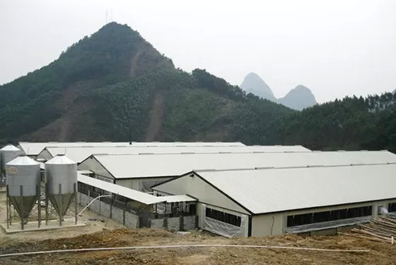 XGZ Steel Structure Poultry House Customized Size Farm Steel Structures Custom Colors
