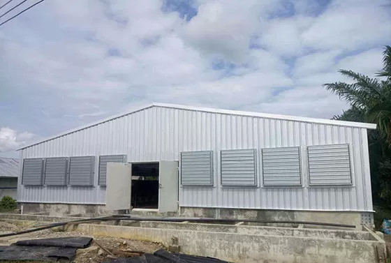 Fire Resistance Q235B Steel Structure Poultry House Painted Steel Frame Chicken Coop