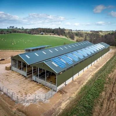 Water Resistance Steel Structure Poultry House Pre Built Chicken Coops Lightweight