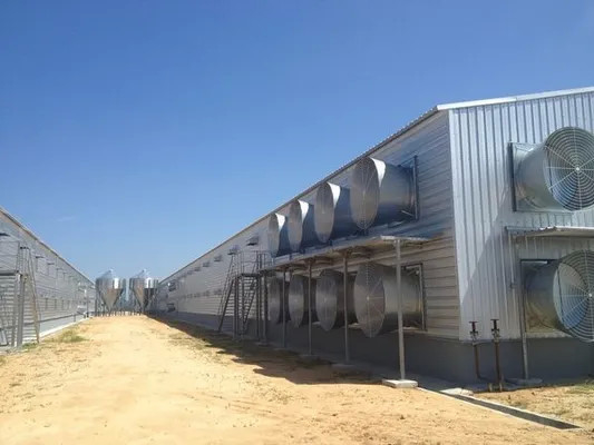 Custom Design High Rise Steel Building Construction Bolts Connection For Poultry House