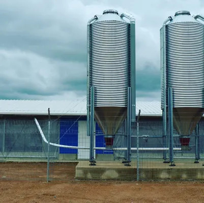 50MM Light Steel Poultry House Farm Sheds Poultry Pre Built Chicken Coops Custom Color
