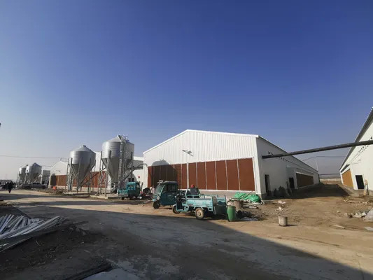 Anti Corrosive Steel Structure Poultry House Galvanized Farm Bird Shed Construction