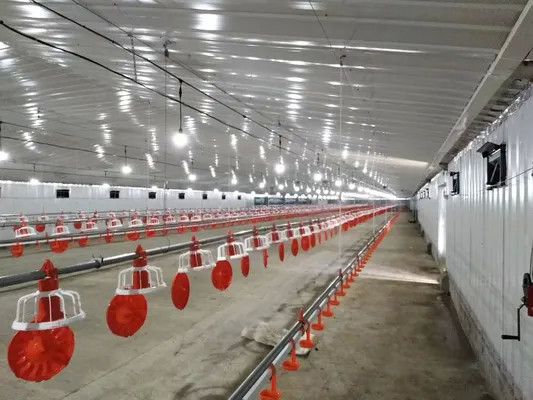 Wind Resistant Q355 Chicken Farm Steel Structures Commercial Poultry House