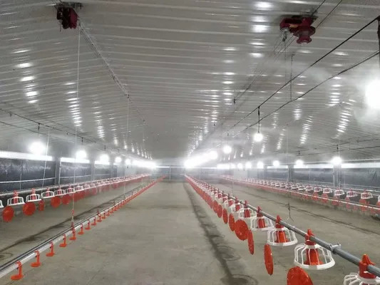 Wind Resistant Q355 Chicken Farm Steel Structures Commercial Poultry House