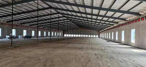 Rapid Installation Steel Frame Farm Building Poultry House Construction Weather Resistant