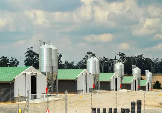 Sheep Pen Poultry Metal Shed Buildings Agricultural Prefab Metal ShedFire Resistant
