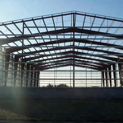 Painted Steel Structure Building with 50 Years Service Life and Long-Lasting Durability